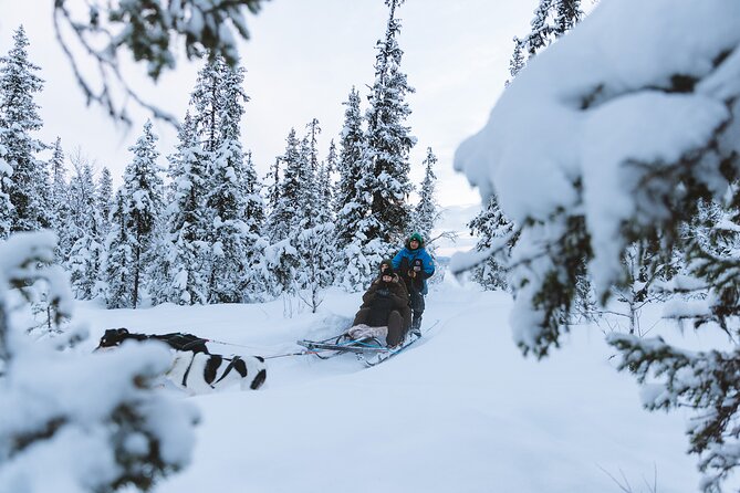 Dog sledding excursion to Kiruna - The Halfway Camp Stop: Fire, Hot Drinks, and Swedish Fika