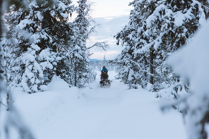 Dog sledding excursion to Kiruna - What the Sled Circuit Adds Up To: Distance, Segments, and Expectations