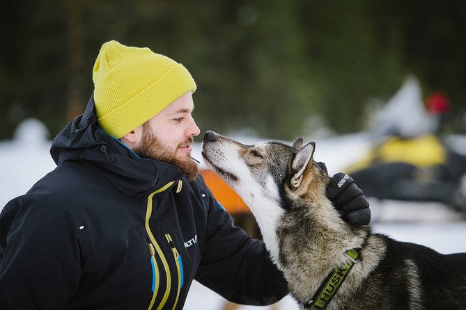 Dogsled Adventure Kiruna - Guides Like Noora, Aron, Hana, and Christine, and Why Their Stories Count