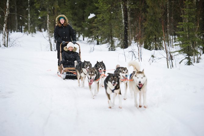 Dogsled Adventure Kiruna - What to Wear, What to Expect in Cold Weather, and How to Stay Comfortable