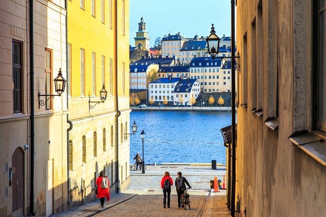 Drottningholm Palace Private Guided Tour - Who should book this Drottningholm Palace private tour