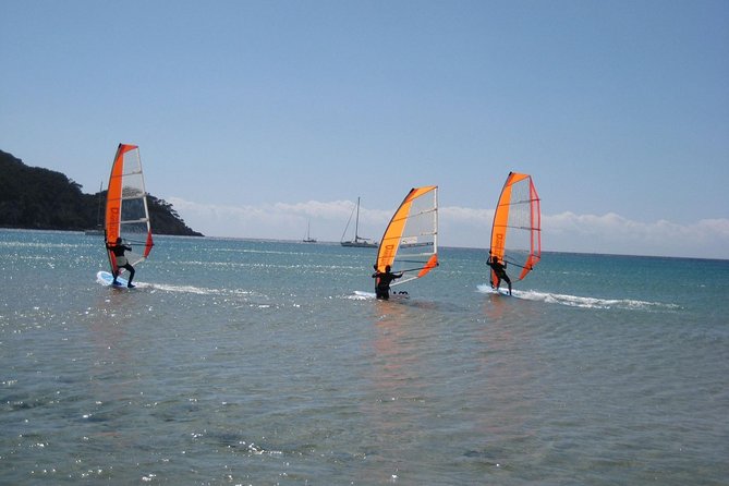 Dynamic Windsurfing Beginner class - Key takeaways before you book your Malmö lesson