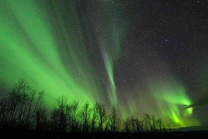 Enjoy the Aurora show on top of the mountain inc tipi dinner - Should you book the Kiruna aurora snowmobile tipi tour?