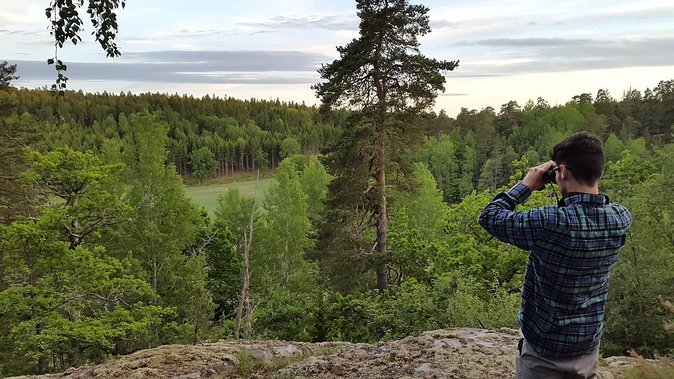 Evening Wildlife Safari Stockholm - Stockholm After Dark, Hunting Wildlife the Practical Way