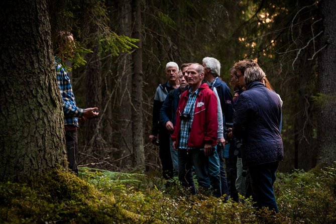 Evening Wildlife Safari Stockholm - The included extras that actually matter: fika, warm gear, and transport