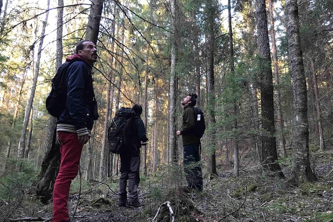 Evening Wildlife Safari with Campfire Dinner from Stockholm - The guide experience: names you might meet, and why they matter