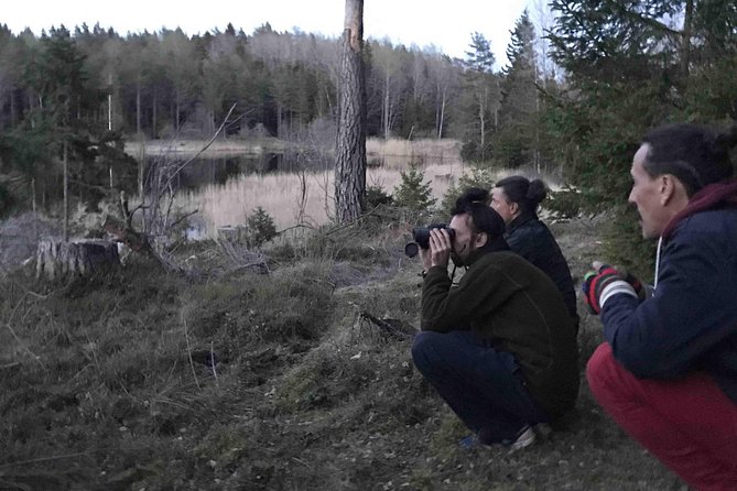 Evening Wildlife Safari with Campfire Dinner from Stockholm - Price and value: what $166.76 really buys you