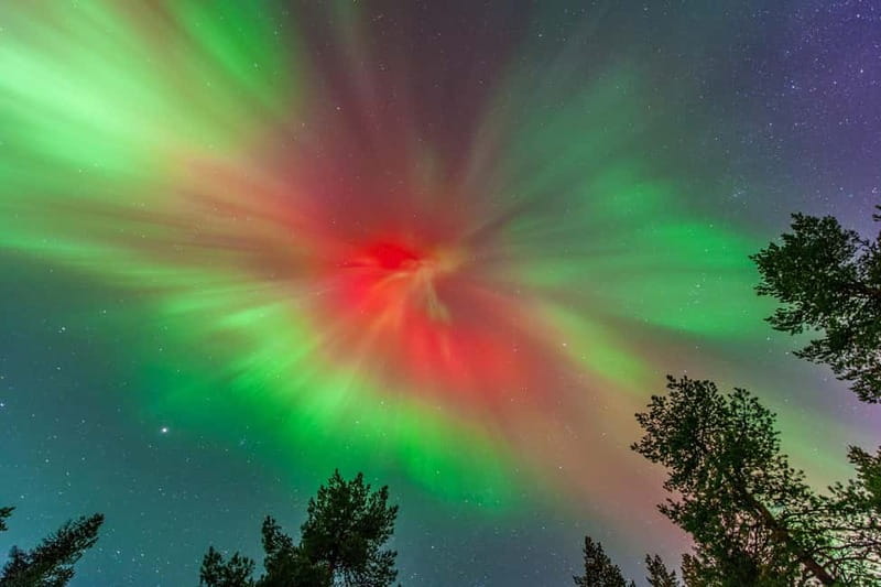 Experience the majestic Auroras Kiruna-Abisko & lodge dinner - Key highlights to know before you go