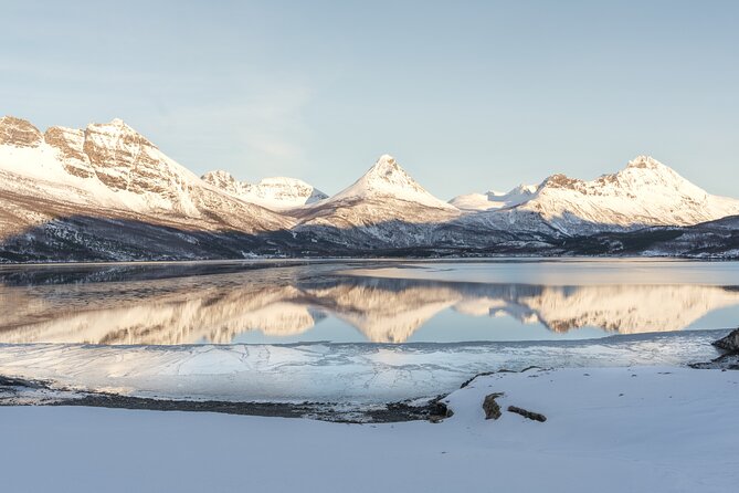Explore the Norwegian Fjords and the Wildlife from Abisko. - Why This Abisko-to-Fjords Day Feels Worth It