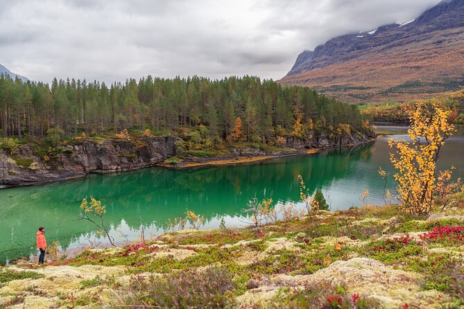 Explore the Norwegian Fjords and the Wildlife from Abisko. - What Wildlife You Can Expect, and How Shore Watching Works