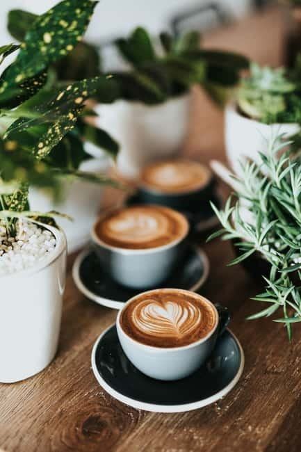 Fika Tour to hideaway cafés - Key highlights to know before you go
