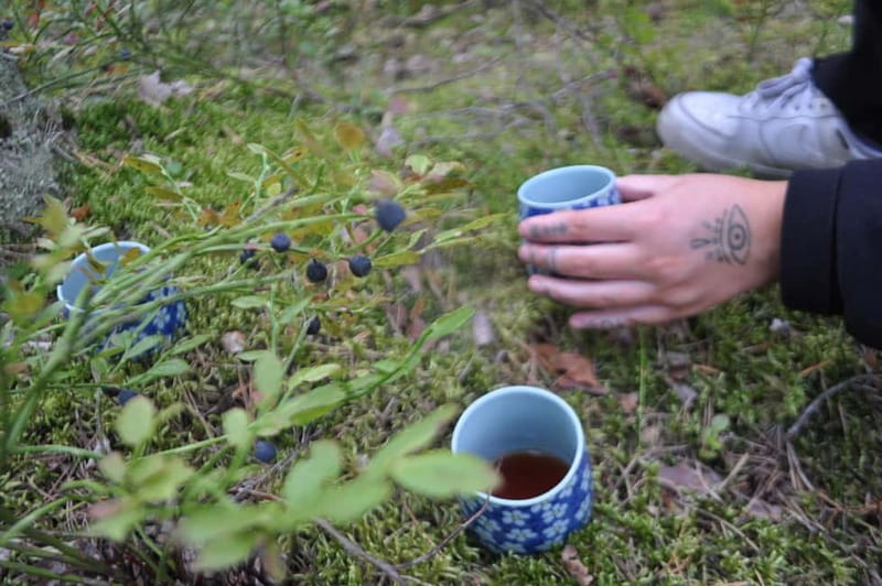 Forest Bathing in Stockholm nature with certified guide - Shinrin-Yoku in Stockholm, not just another nature walk