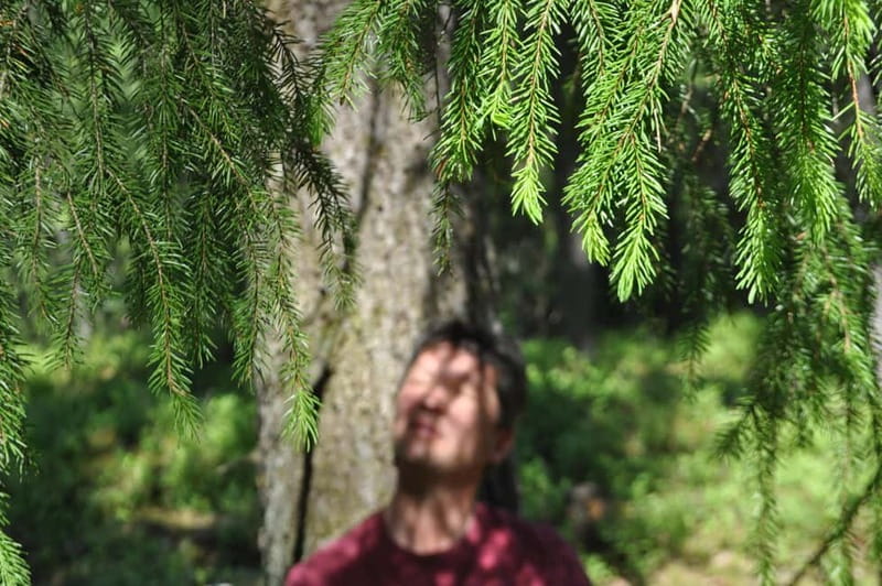 Forest Bathing in Stockholm nature with certified guide - Seat pads, quiet breaks, and the tea ceremony finale