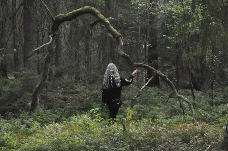 Forest Bathing in Stockholm nature with certified guide - Meeting at Thielska Galleriet and easing into the forest