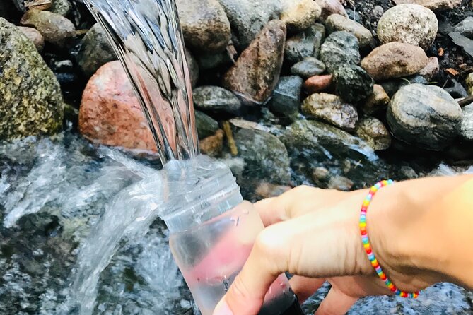 Forestbathing Slow Walking and Healing Spring Water, Stockholm - Key things to know before you go