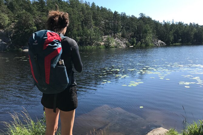 Forestbathing Slow Walking and Healing Spring Water, Stockholm - A pine-forest pause just outside Stockholm