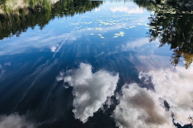 Forestbathing Slow Walking and Healing Spring Water, Stockholm - Lake fika and optional swim at a serene resting spot