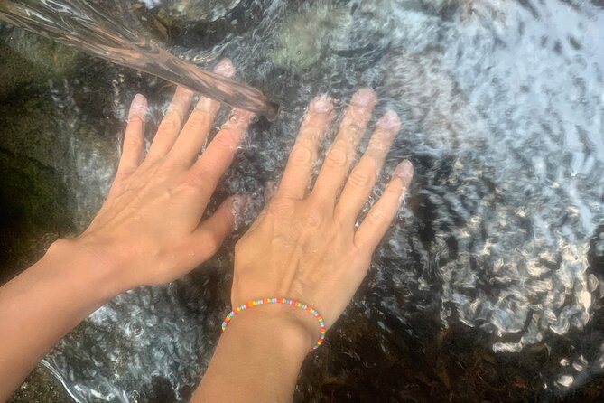 Forestbathing Slow Walking and Healing Spring Water, Stockholm - Price and value: what $213.27 buys you in real terms