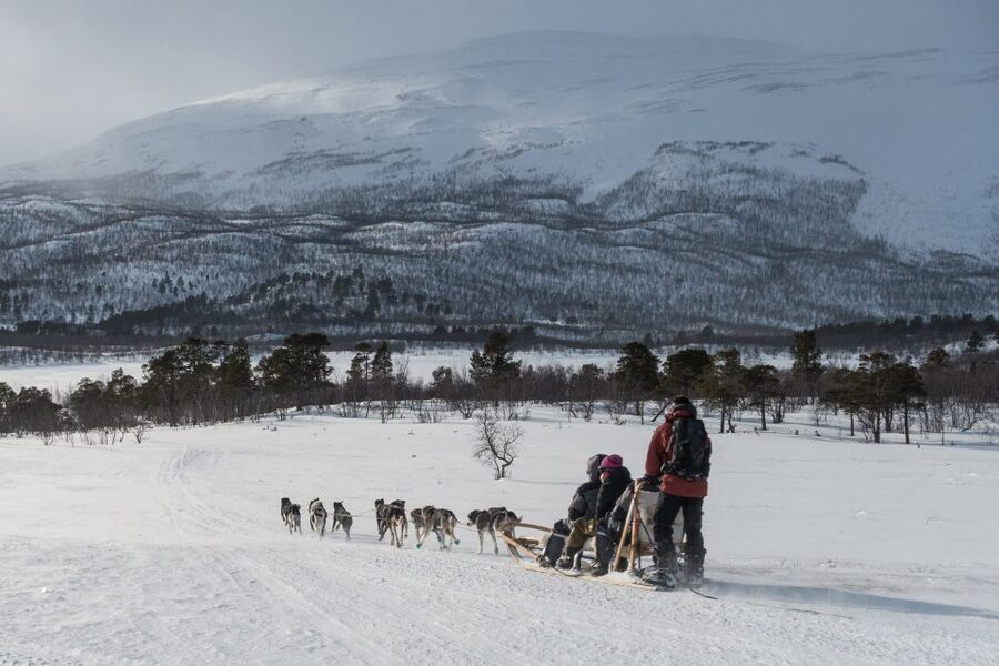 From Abisko: Dog Sledding Excursion to Kiruna with Fika - Why This Excursion Works So Well (Even If You Are Not a Sledding Pro)