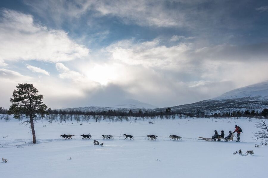 From Abisko: Dog Sledding Excursion to Kiruna with Fika - Warm Overalls and Boots: What You Actually Get on the Day