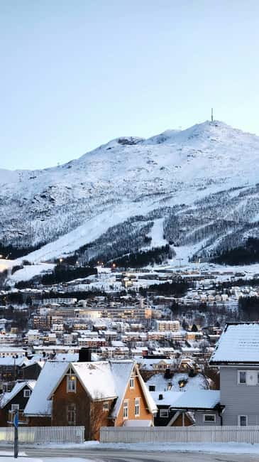 From Abisko: Narvik City and Fjord Day Trip - Key things I’d circle before booking
