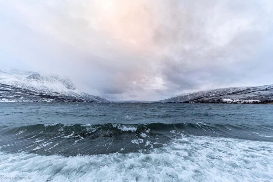 From Abisko: Narvik City and Fjord Day Trip - Transport and comfort: pickup matters more than you think
