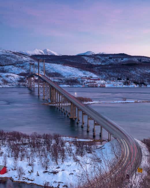 From Abisko: Narvik City and Fjord Day Trip - Price and value: what $182 is buying you