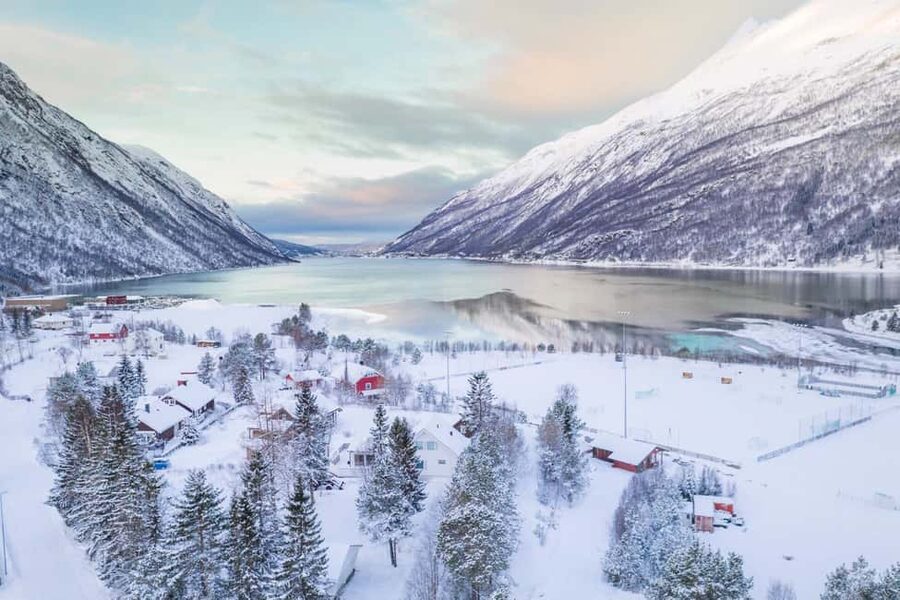 From Abisko: Narvik City and Fjord Day Trip - Crossing into Norway: the scenery change you’ll feel immediately