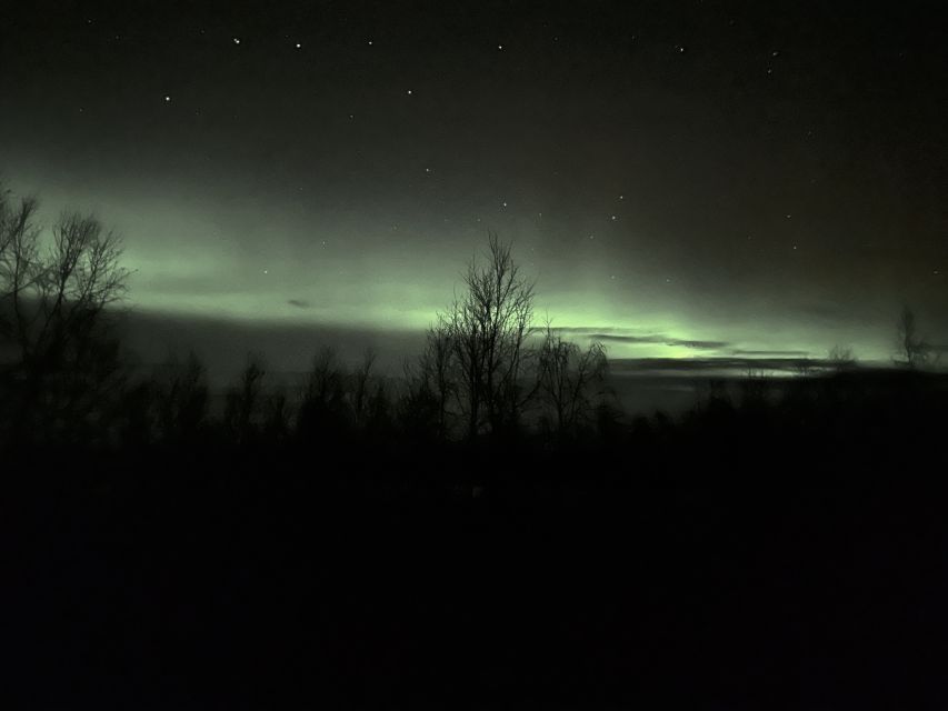 From Kiruna: Abisko National Park Northern Lights Tour - The drive to Abisko: where the guide looks before you do