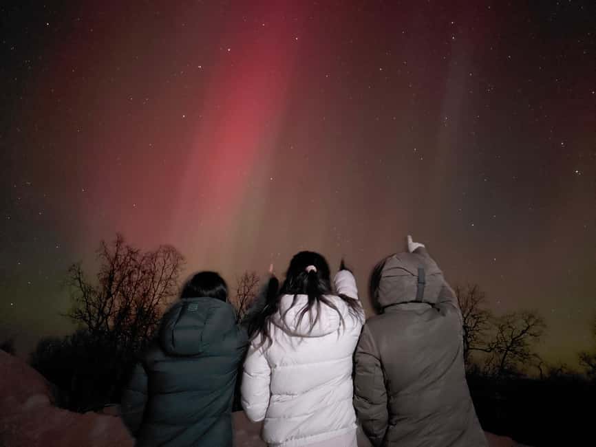 From Kiruna: Abisko National Park Northern Lights Tour - Price and what you actually get for $167