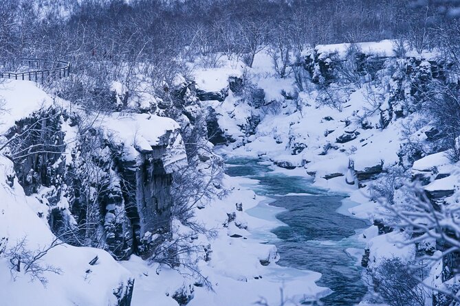 From Kiruna: Explore Abisko by Day - Björkliden: Silver Waterfall and the Aurora Viewpoint