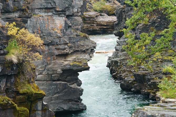 From Kiruna: Explore Abisko by Day - The Arctic road trip loop by Lake Torneträsk and Kaisepakte