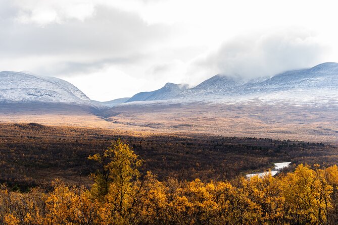 From Kiruna: Explore Abisko by Day - Wildlife chances and why the guide’s eye changes everything