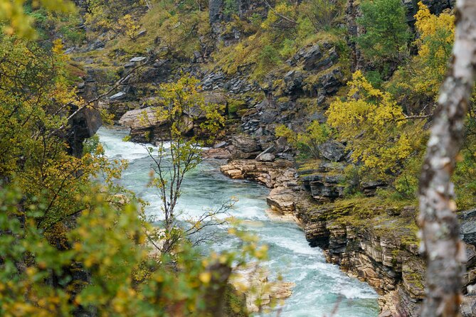 From Kiruna: Explore Abisko by Day - Value check: what $175.43 buys in the Abisko day