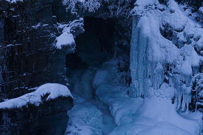 From Kiruna: Explore Abisko by Day - Who this tour suits best