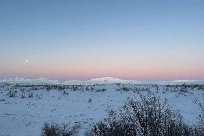 From Kiruna: Explore Abisko by Day - Abisko National Park: canyon views plus Lake Torneträsk shore time