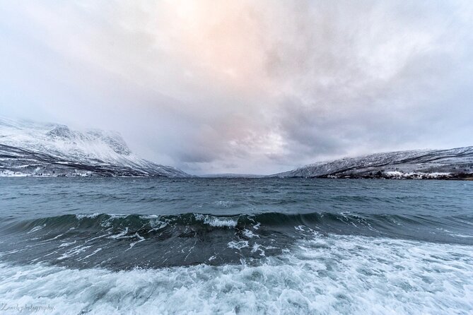 From Kiruna: Narvik City and Fjord Day Trip - Kiruna to the Norwegian border: the day gets scenic right away