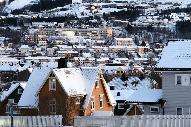 From Kiruna: Narvik City and Fjord Day Trip - The Sweden return drive: scenic bridges and an end that feels earned