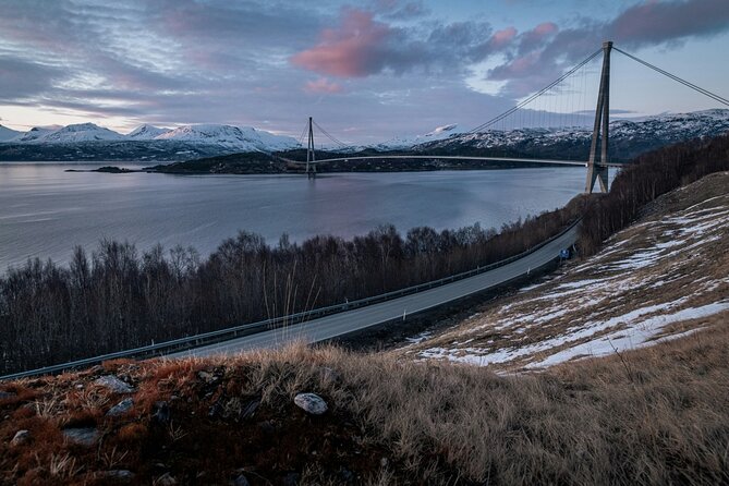 From Kiruna: Narvik City and Fjord Day Trip - Price and value: what $229.50 buys you in this part of the Arctic