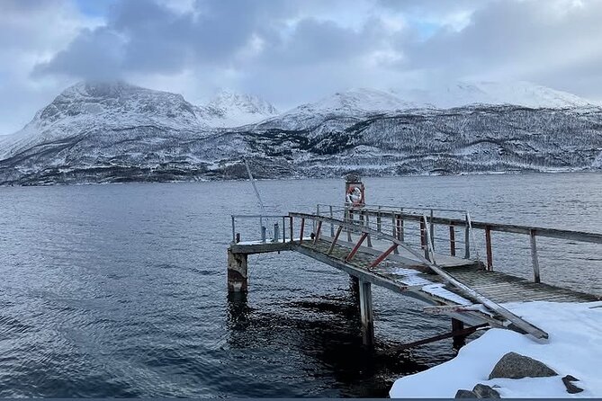 From Kiruna: Narvik City and Fjord Day Trip - Pickup timing, small groups, and what to expect in the van