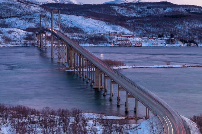 From Kiruna: Narvik City and Fjord Day Trip - What kind of traveler should book this?