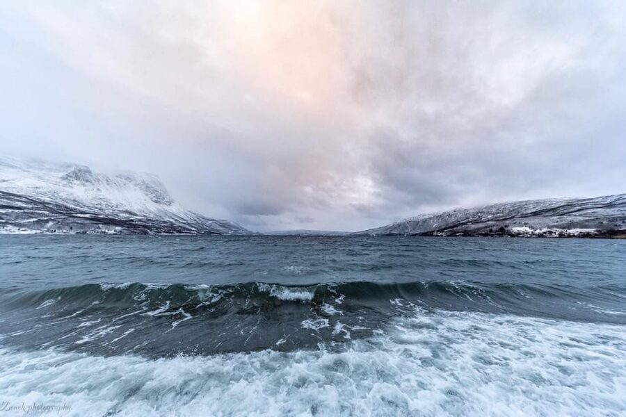 From Kiruna: Narvik City and Fjord Day Trip - What to bring, what to plan for, and what not to overthink