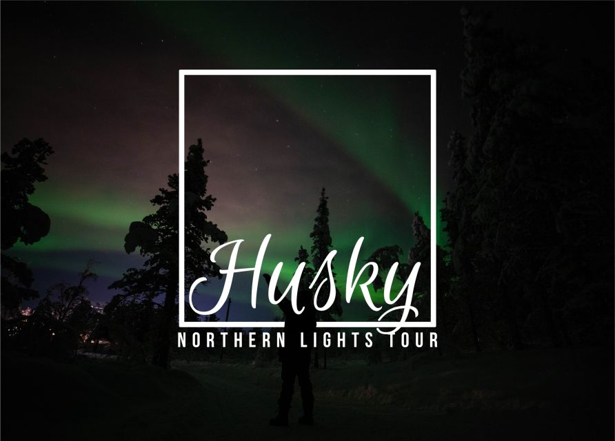 From Kiruna: Northern Lights Guided Husky Sledding Adventure - Why this husky tour feels worth your time