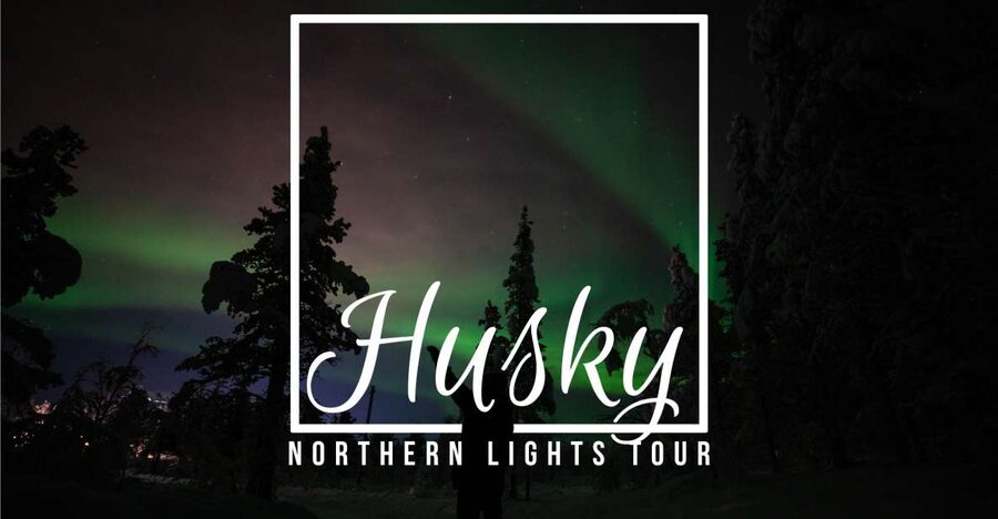 From Kiruna: Northern Lights Guided Husky Sledding Adventure - Key highlights to look for