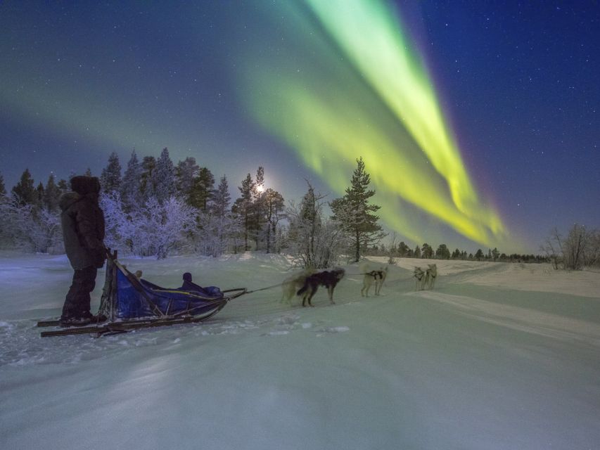 From Kiruna: Northern Lights Guided Husky Sledding Adventure - Safety briefing in Kalixforsbron: the part that makes you confident