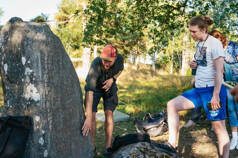 From Stockholm: Moose & Wildlife Safari with Campfire Dinner - Viewpoint Hike to Campfire Dinner: The Bushcraft Moment
