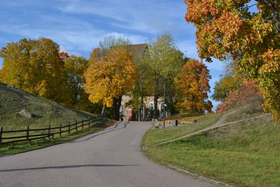 From Stockholm: Uppsala and Sigtuna Viking Sites Tour - Price, value, and who gets the most out of $235