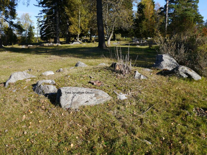 From Stockholm: Viking Culture and Heritage Small Group Tour - Arkils tingstad and the Viking parliament remains: how society may have worked