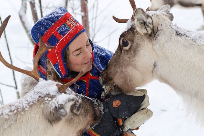 Full-Day Reindeer Tour with Pickup in Kiruna - Key things I like about this Kiruna reindeer day