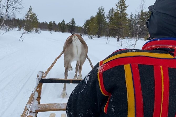 Full-Day Reindeer Tour with Pickup in Kiruna - Entering Sámi reindeer life, not just sightseeing on snow